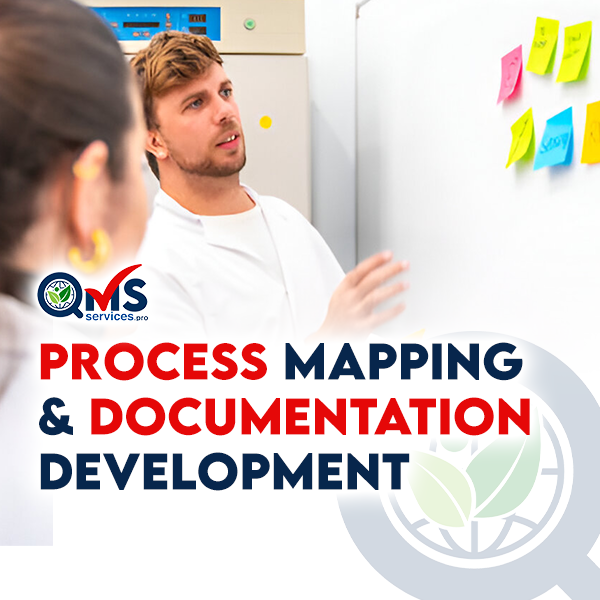 Process Mapping & Documentation Development